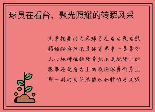球员在看台，聚光照耀的转瞬风采