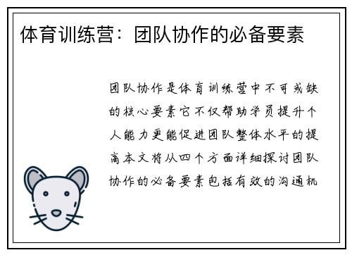 体育训练营：团队协作的必备要素